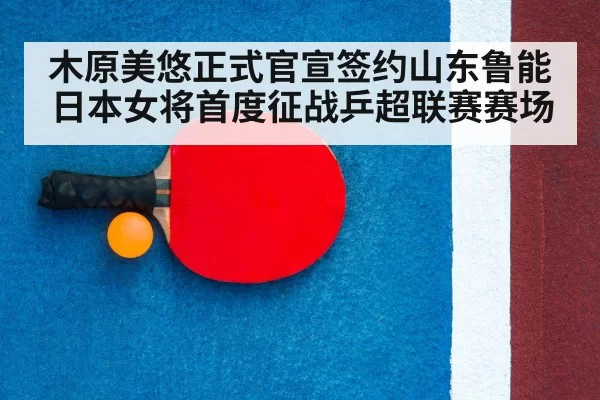 table tennis racket and ball close up
